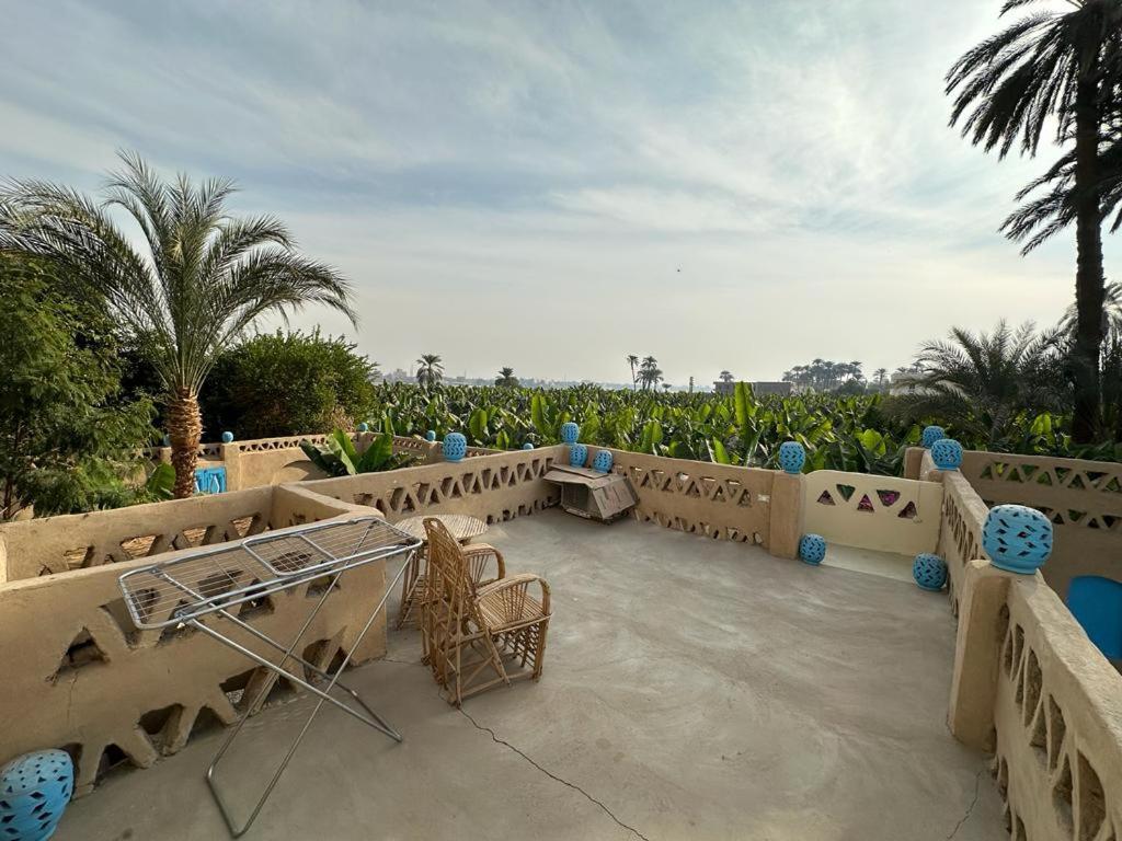 Villa Rebecca Professor'S Paradise Luxor Eksteriør bilde